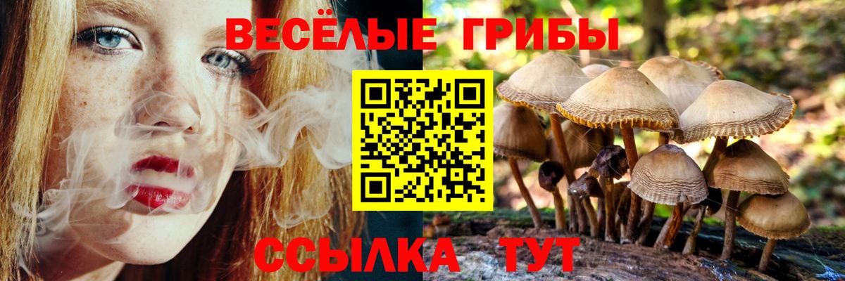 Псилоцибиновые грибы мухоморы Михайловск