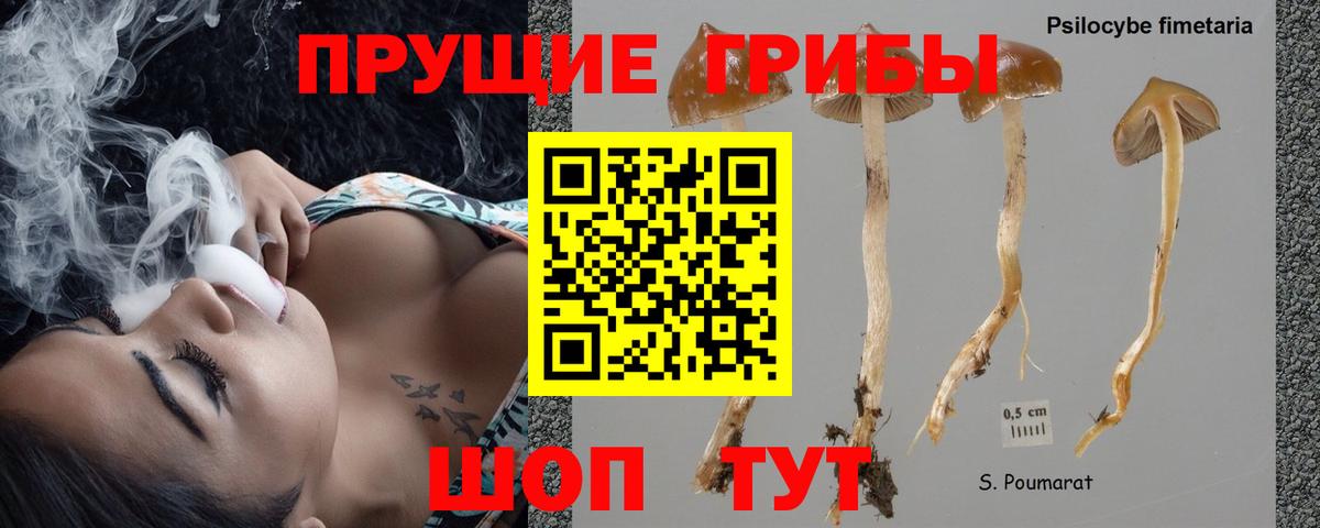 Галлюциногенные грибы Cubensis  Вход с VPN  Михайловск 